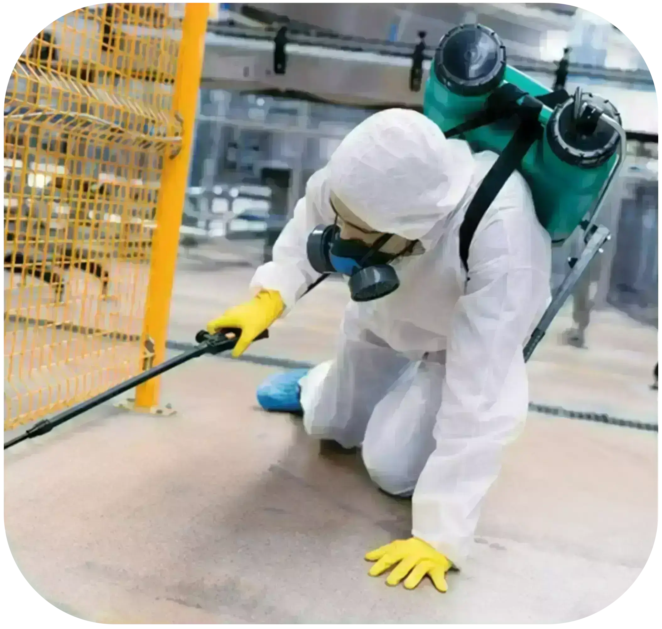 A man sit on his knee spraying pesticides on the indoor floor